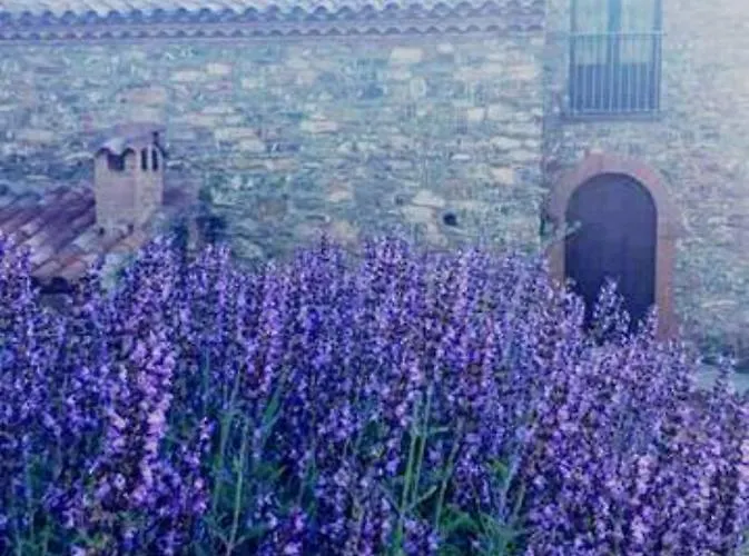 ゲストハウス Asceaexperience *