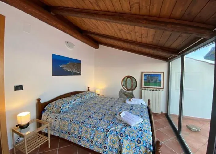 Asceaexperience ゲストハウス