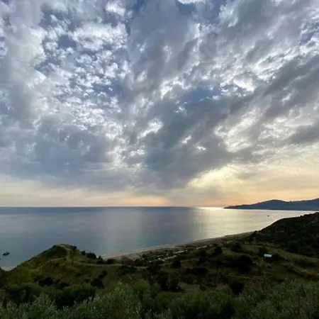 招待所 Asceaexperience