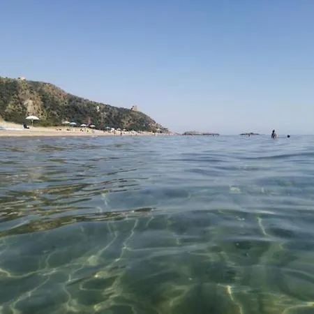 Asceaexperience 阿谢亚