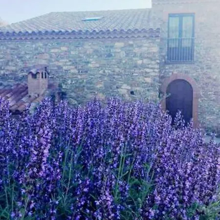 بيت ضيافة Asceaexperience *