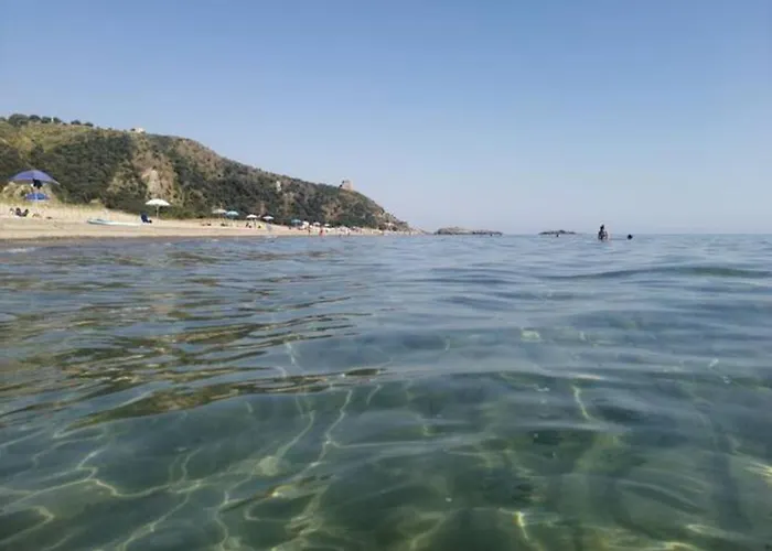 Asceaexperience Ascea